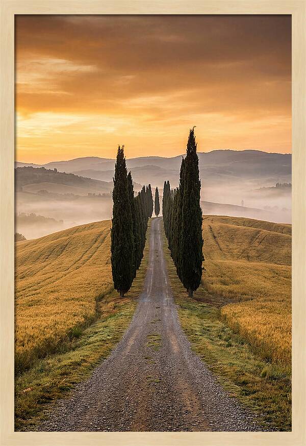 Tuscan Hills At Dawn