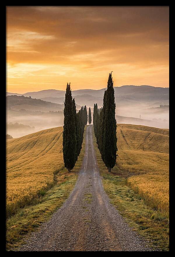 Tuscan Hills At Dawn