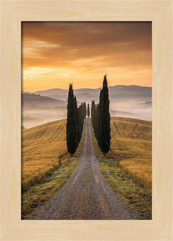 Tuscan Hills At Dawn