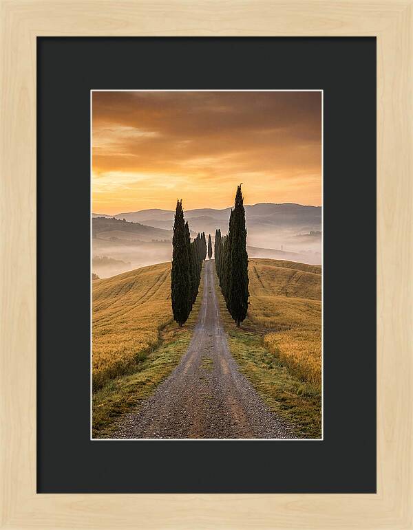 Tuscan Hills At Dawn