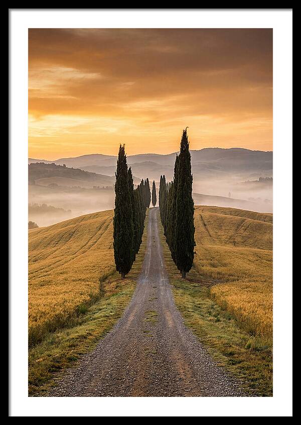 Tuscan Hills At Dawn