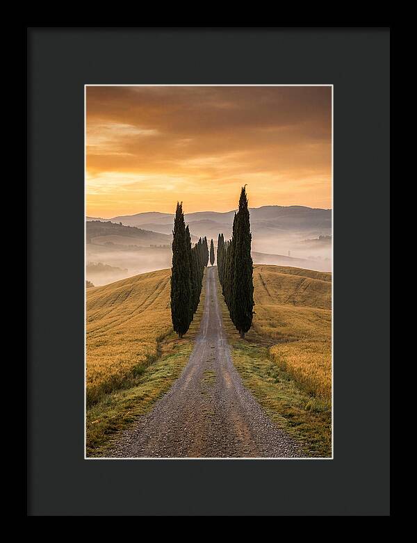 Tuscan Hills At Dawn