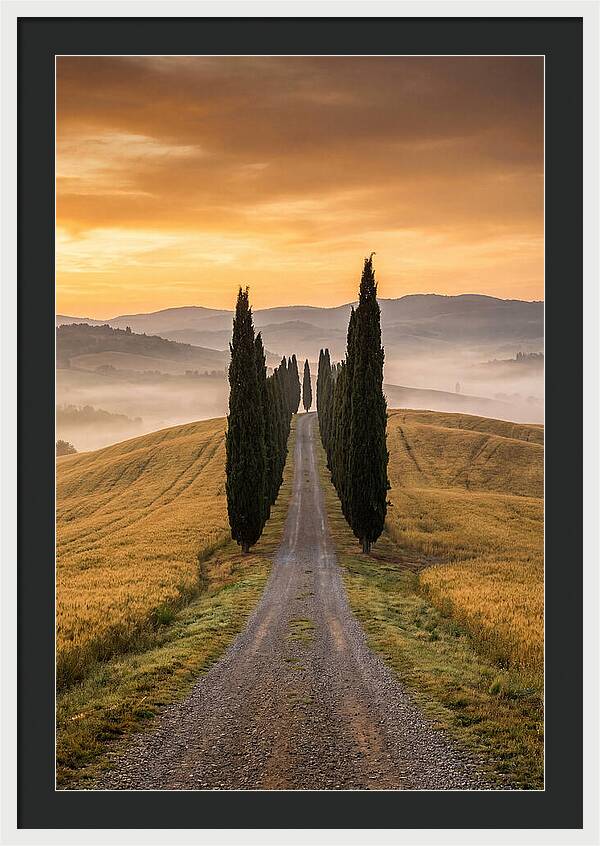 Tuscan Hills At Dawn