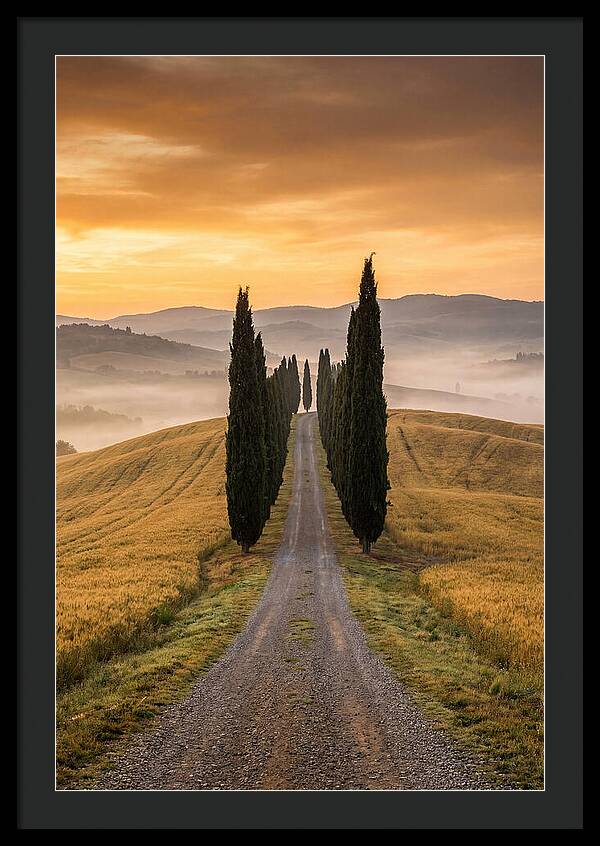Tuscan Hills At Dawn