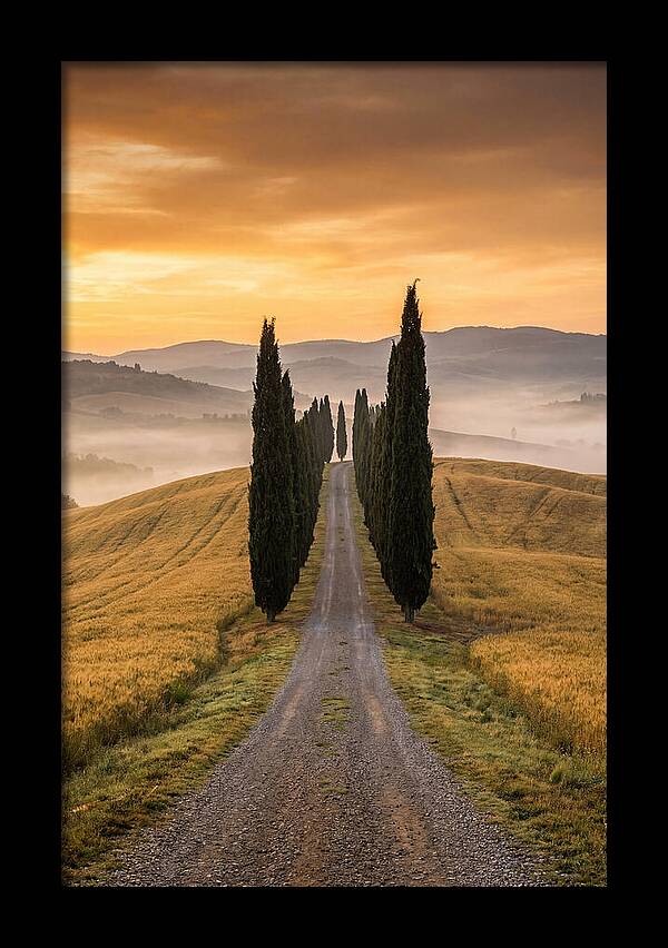 Tuscan Hills At Dawn