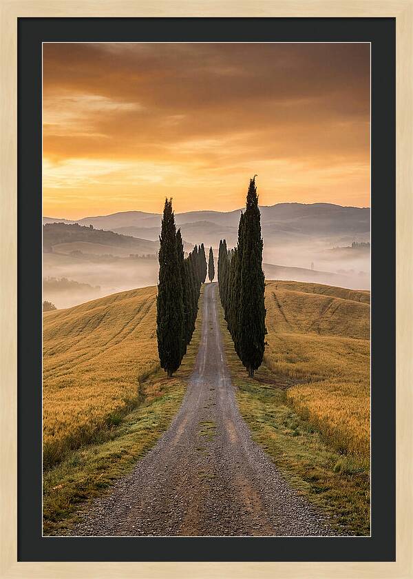 Tuscan Hills At Dawn