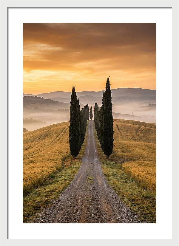 Tuscan Hills At Dawn
