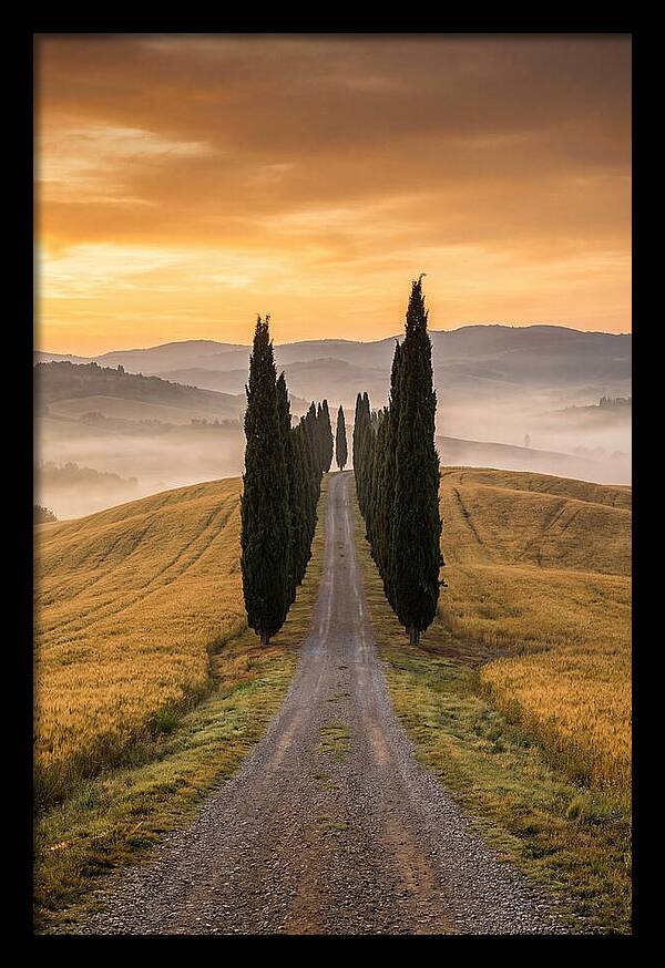 Tuscan Hills At Dawn