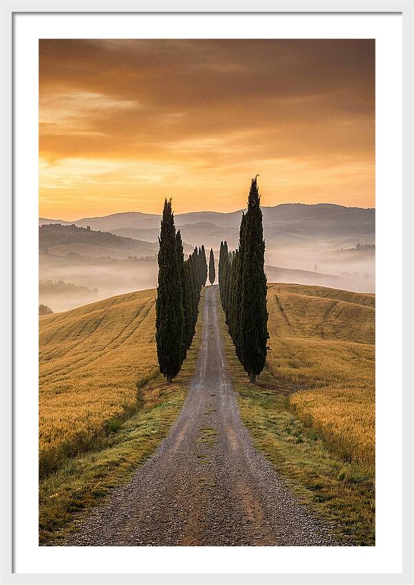 Tuscan Hills At Dawn