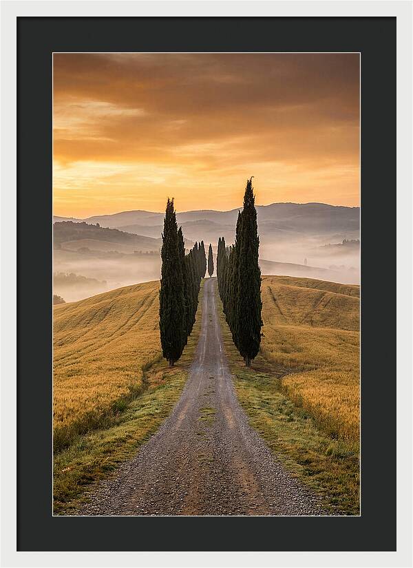 Tuscan Hills At Dawn
