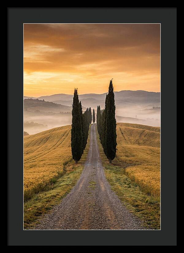Tuscan Hills At Dawn