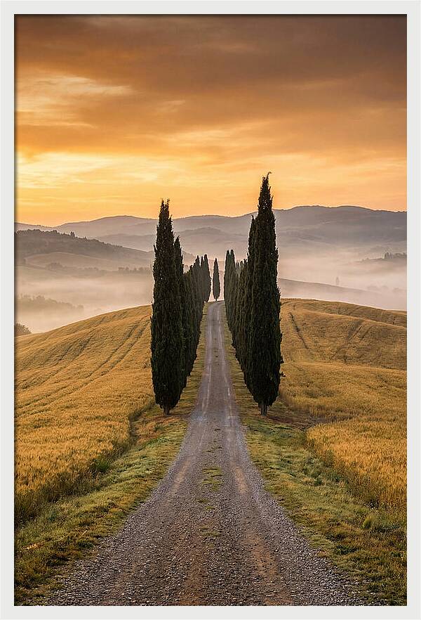 Tuscan Hills At Dawn