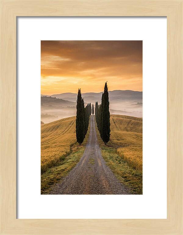 Tuscan Hills At Dawn