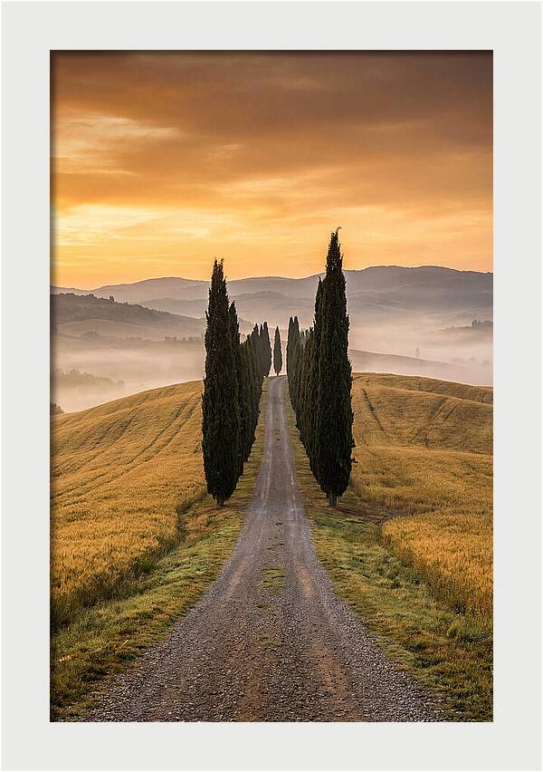 Tuscan Hills At Dawn