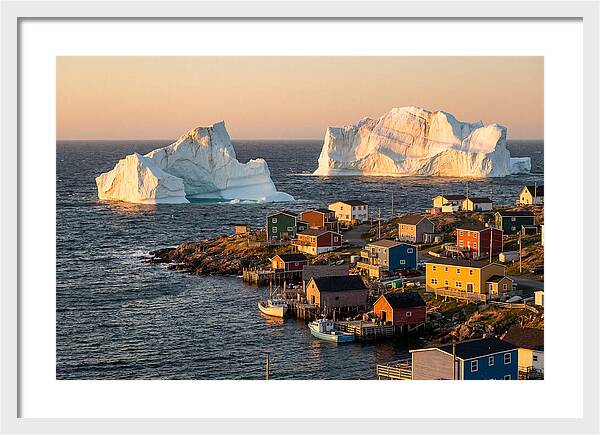 Twillingate Icebergs At Golden Hour