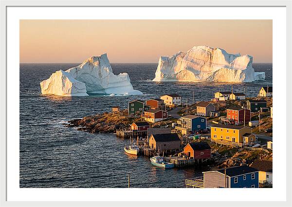 Twillingate Icebergs At Golden Hour
