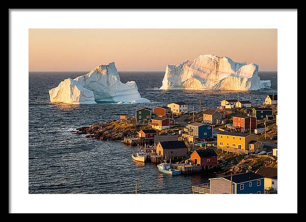 Twillingate Icebergs At Golden Hour