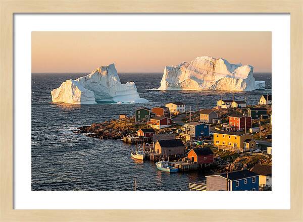 Twillingate Icebergs At Golden Hour