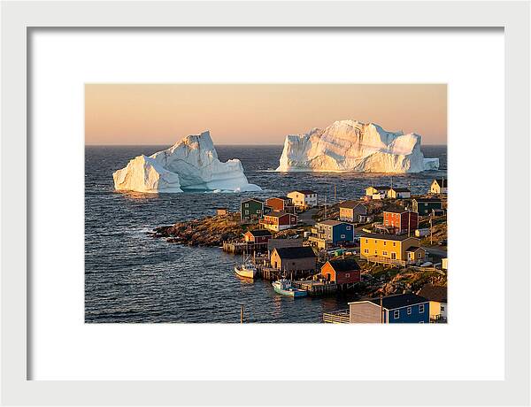 Twillingate Icebergs At Golden Hour