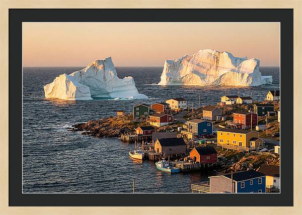 Twillingate Icebergs At Golden Hour