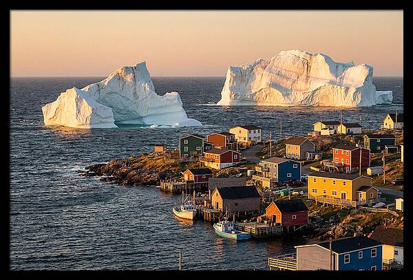 Twillingate Icebergs At Golden Hour