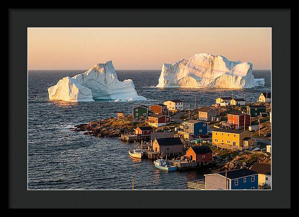 Twillingate Icebergs At Golden Hour