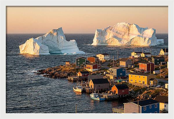 Twillingate Icebergs At Golden Hour