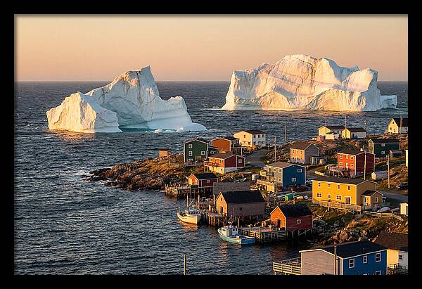 Twillingate Icebergs At Golden Hour
