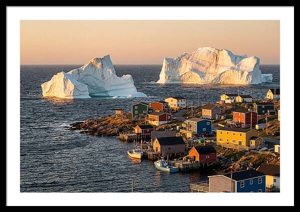 Twillingate Icebergs At Golden Hour