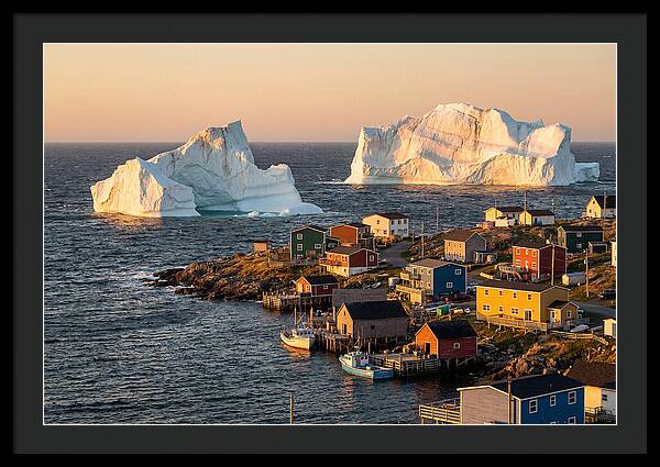 Twillingate Icebergs At Golden Hour