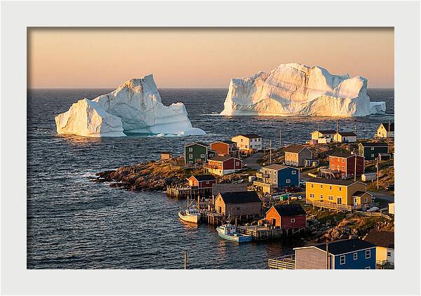 Twillingate Icebergs At Golden Hour
