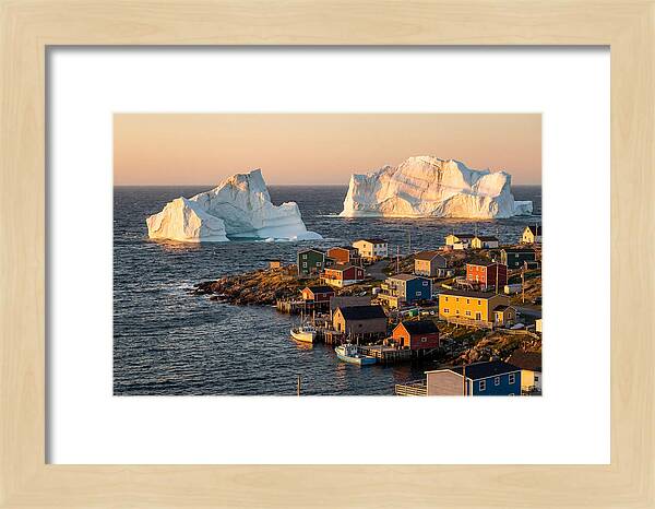 Twillingate Icebergs At Golden Hour