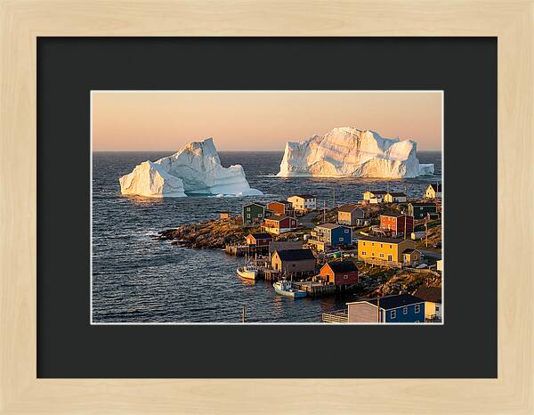 Twillingate Icebergs At Golden Hour