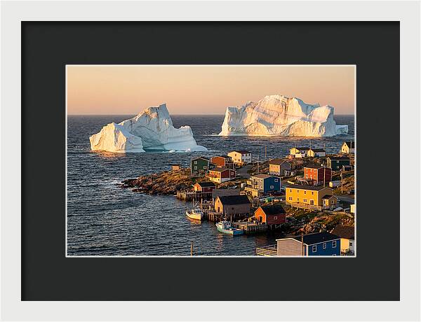 Twillingate Icebergs At Golden Hour