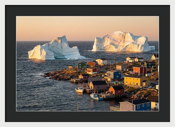 Twillingate Icebergs At Golden Hour