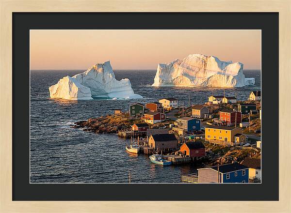 Twillingate Icebergs At Golden Hour