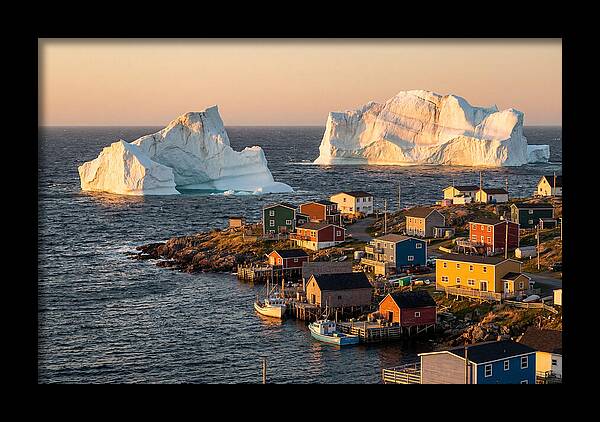 Twillingate Icebergs At Golden Hour