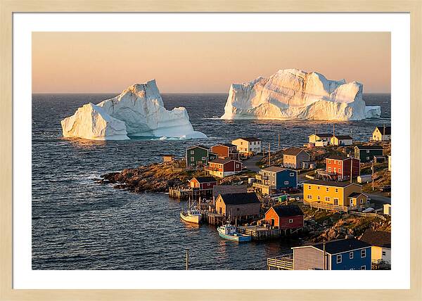 Twillingate Icebergs At Golden Hour