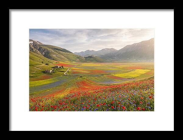 Umbrian Valley In Bloom