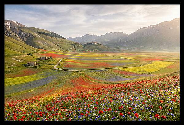 Umbrian Valley In Bloom