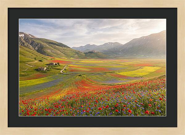 Umbrian Valley In Bloom