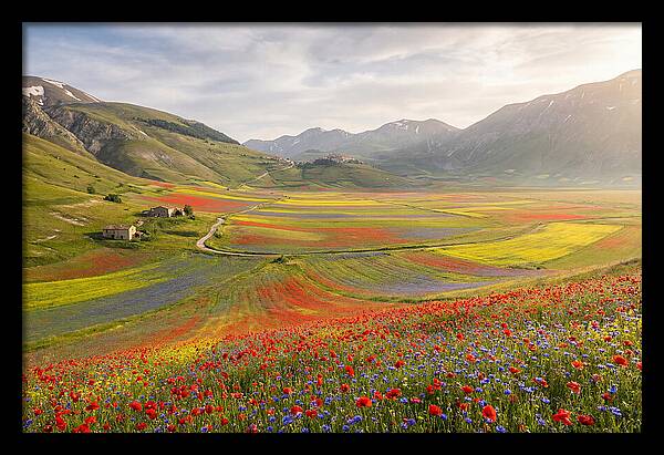 Umbrian Valley In Bloom