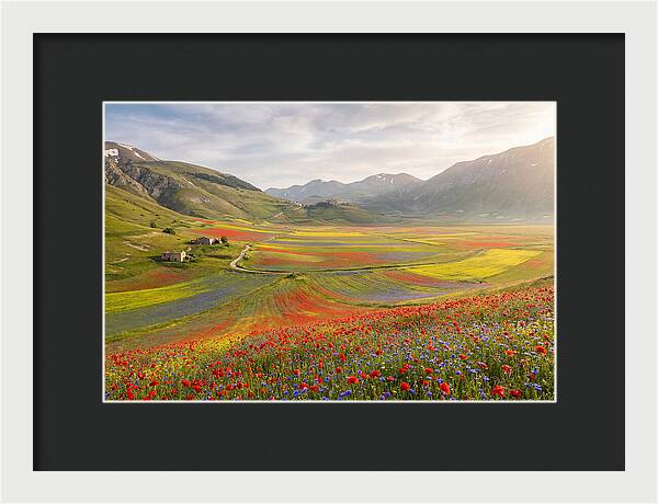 Umbrian Valley In Bloom