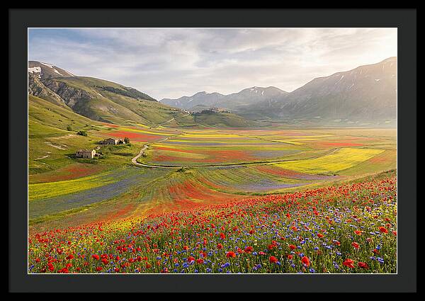 Umbrian Valley In Bloom