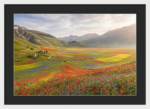 Umbrian Valley In Bloom