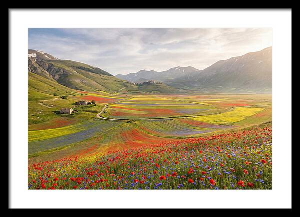 Umbrian Valley In Bloom