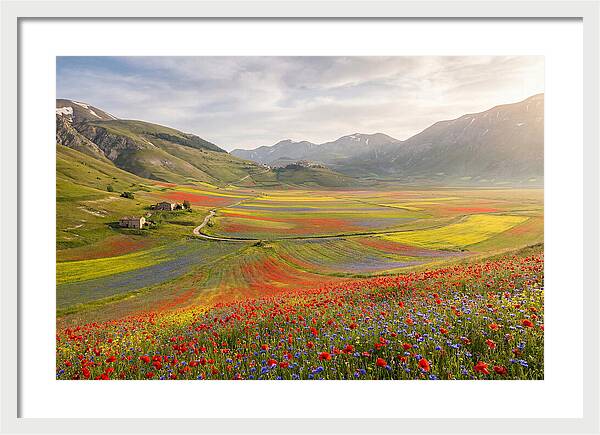 Umbrian Valley In Bloom