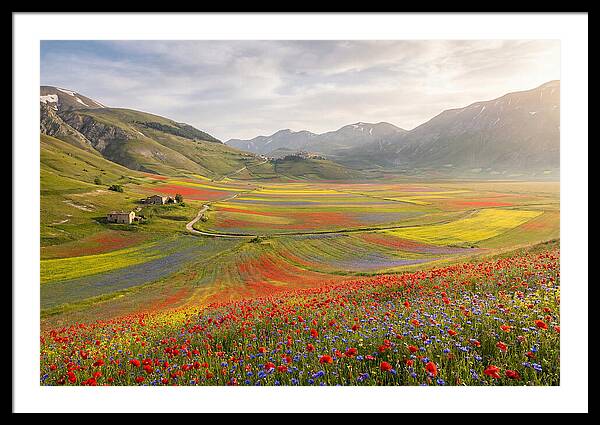 Umbrian Valley In Bloom