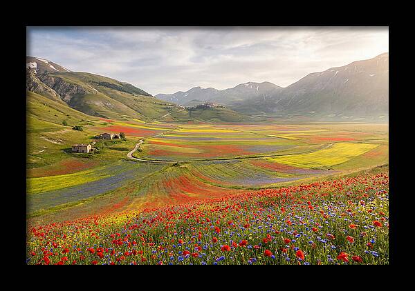 Umbrian Valley In Bloom