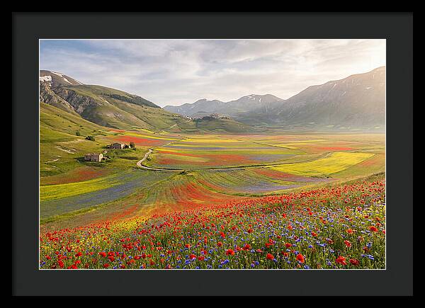Umbrian Valley In Bloom